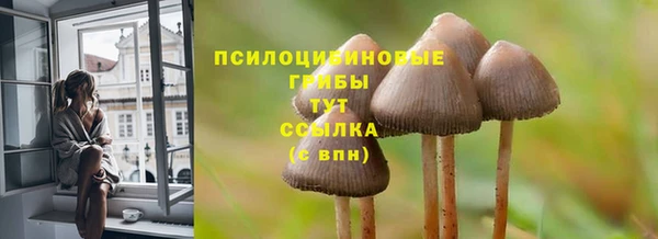 шишки Наволоки