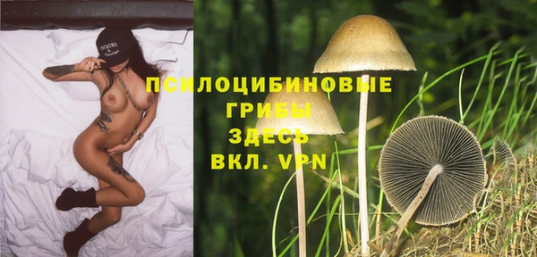 шишки Наволоки