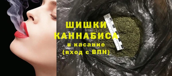 шишки Наволоки