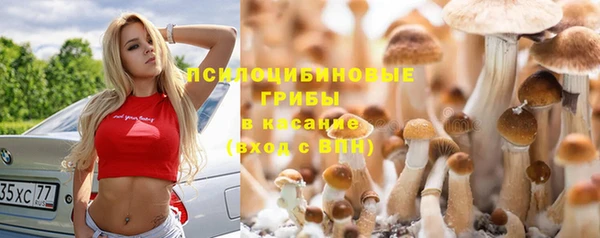 хмурый Навашино